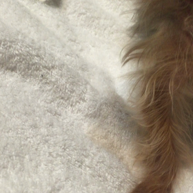 咳が出ない水の飲み方の画像