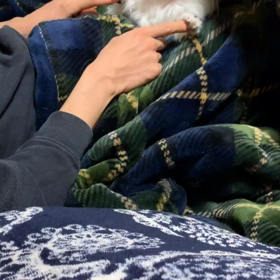 春は必ず来る！の画像