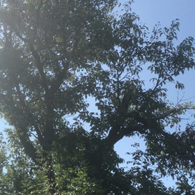 外は暑いの画像