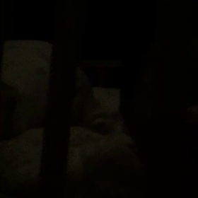 一睡もできず、、、の画像