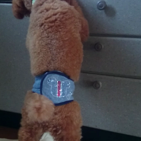 パンの香りに誘われて(^^)の画像