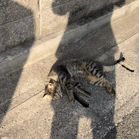 絶妙なタイミングの画像