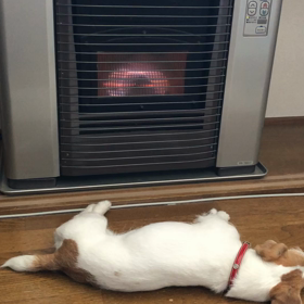 みんなでの画像