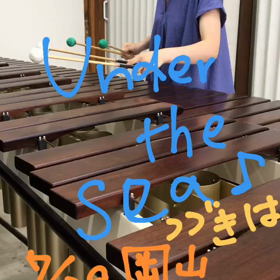 【演奏動画】アンダーザシー♪の画像