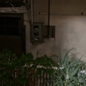 えらい雨やで、の画像