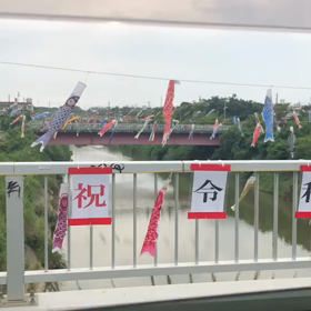 天願川のの画像