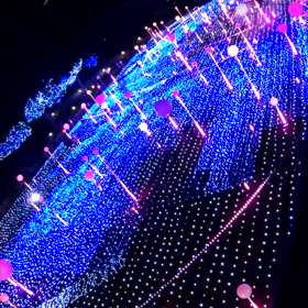 ☆ミッドタウン(その2)☆の画像