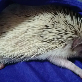 ＃何で上がらないんだろ、、、＃の画像