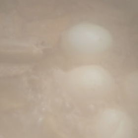 祝日の仕事の画像