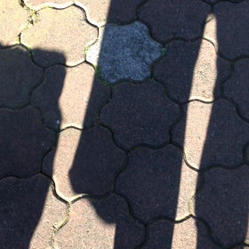 今日も テクテク 通い道の画像