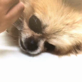 光輝くん…忘れないよの画像