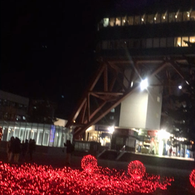 札幌イルミネーションツアーの画像