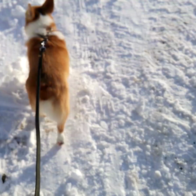 モンローウォーク♪の画像