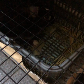 2023年　あけましておめでとうございます！の画像