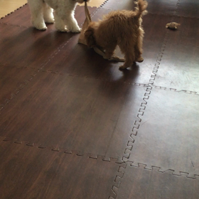 危ないね movieの画像