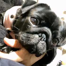 お休みなさいの画像