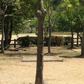 GW堪能⁉︎の画像