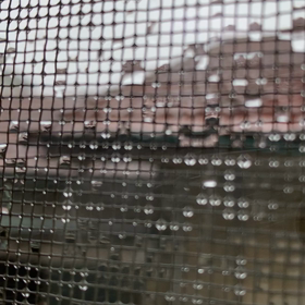 またまた、の画像