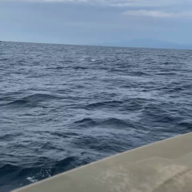 １５日の日曜日❗️カツオ、キハダルアー乗り合い募集の画像