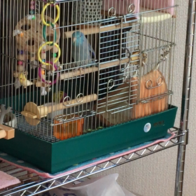 春が待ち遠しいね。の画像