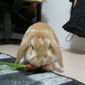 久しぶりのの画像