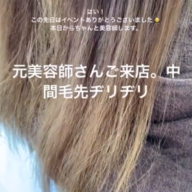 髪質改善の画像