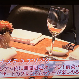 東レパンパシフィックオープンテニス パティナステラ アリアケの画像