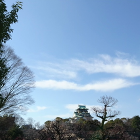 大阪城公園7の画像