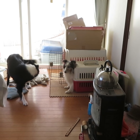 遊ぼうの相手が違うよの画像