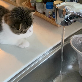 認知症の母の毒づきは元気な証拠なのか…の画像