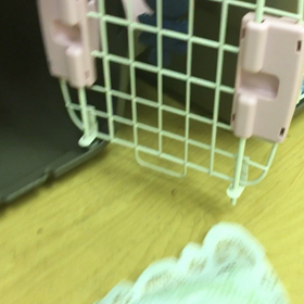 強〜い味方。の画像