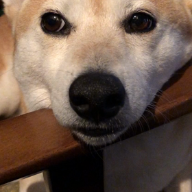 眠い眠いの画像