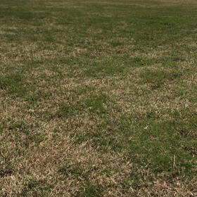 空中キャッチ❗️・・には、まだ遠い(^◇^;)の画像