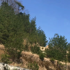 Z34車両コースレコード動画の画像