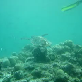 ep16 speedsterの画像