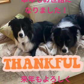 今年もありがとうございました！の画像