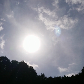 いいらしいの画像