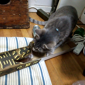 私のふ菓子に何をする！の画像