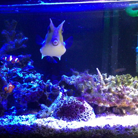 テスト投稿の画像