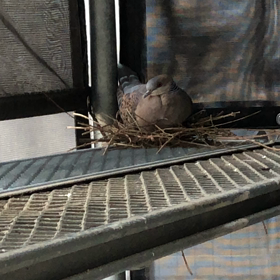 ７６１円の巻の画像