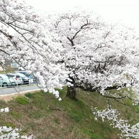 書けずにいました(^^)の画像