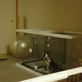 僕のなまえ(^^)の画像