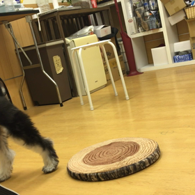 ステップアップしていこう！の画像