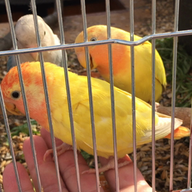 寒さにまけずの画像