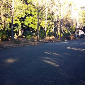 越谷春季記録会リレー選考会(女子)⑥の画像