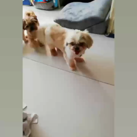 おやつ  ちょうだい♪の画像