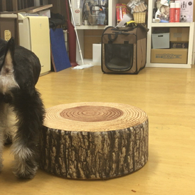 超ひんと付きなんだけどなぁ。の画像