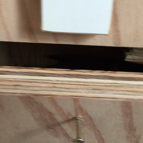 ズグロシロハラの画像