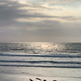 6月20日千葉北、東浪見の朝の波の画像