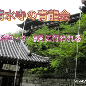 京都で青龍に出会う❣️の画像